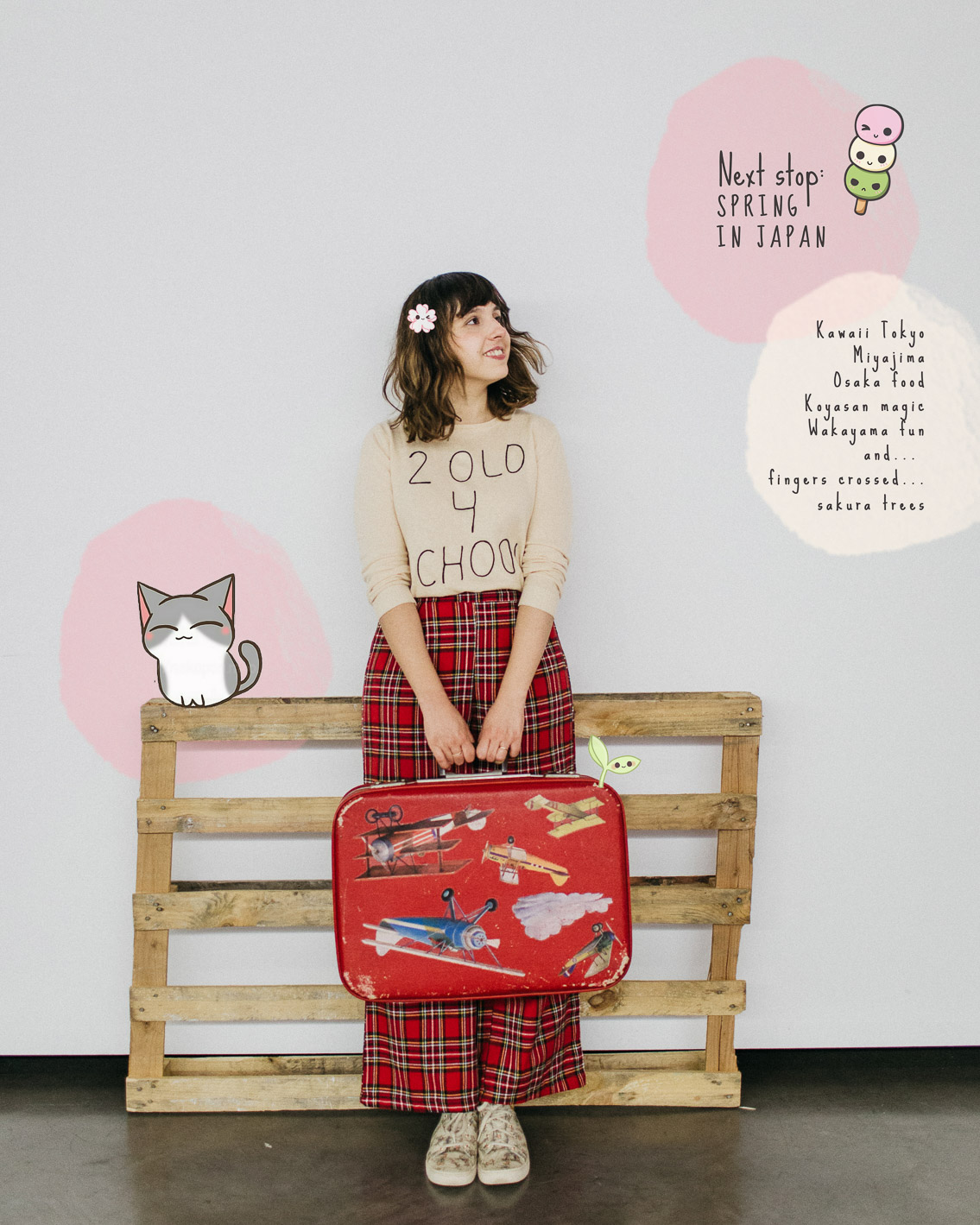 Spring in Japan Red vintage suitcase - The cat, you and us