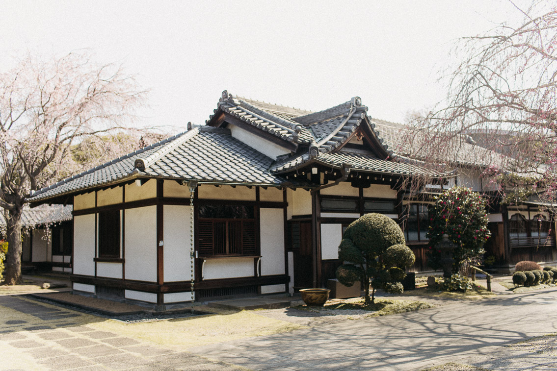 Yanaka Tennoji Temple - The cat, you and us