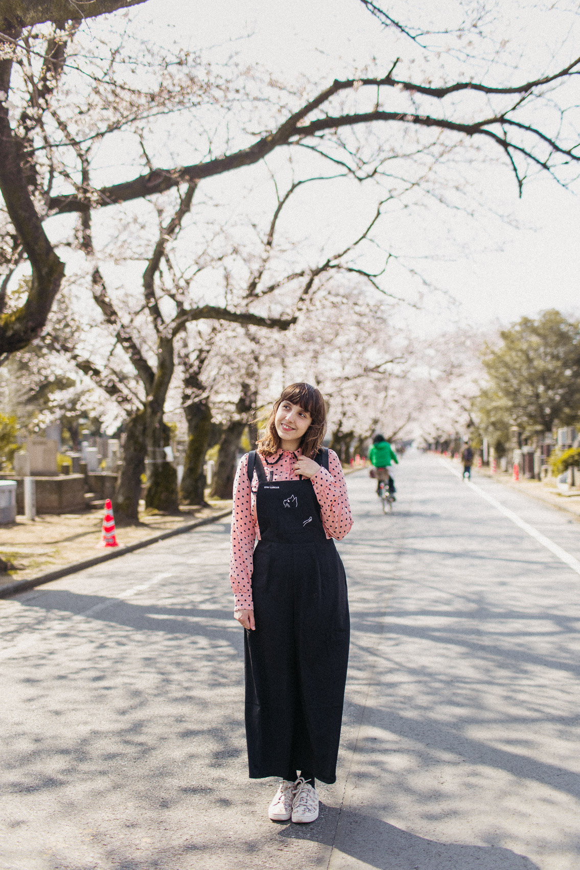 Yanaka Cemetery park - The cat, you and us