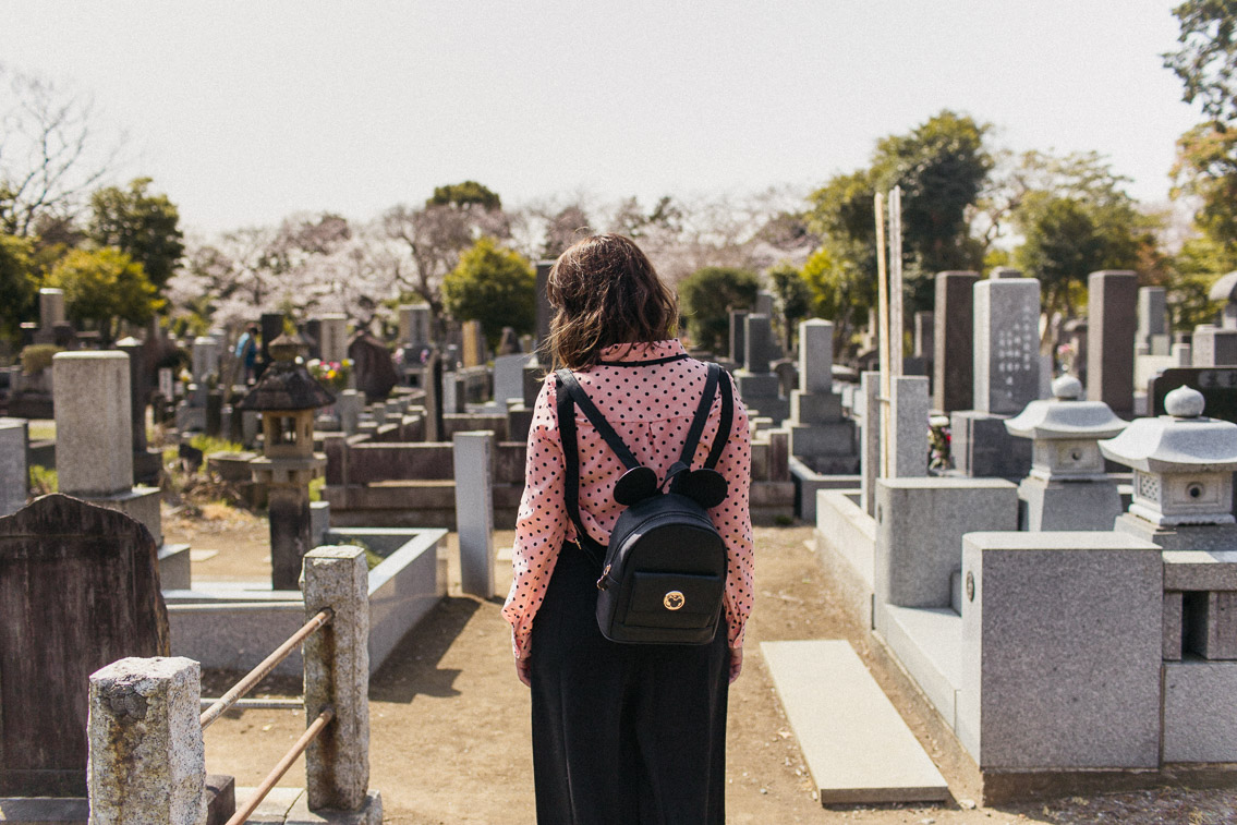 Yanaka Cemetery park - The cat, you and us