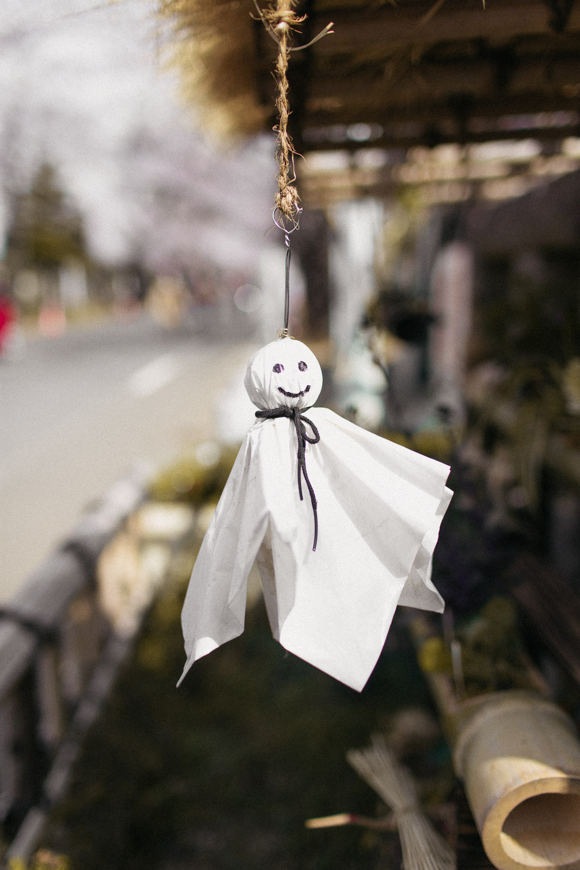 Yanaka Cemetery park - The cat, you and us