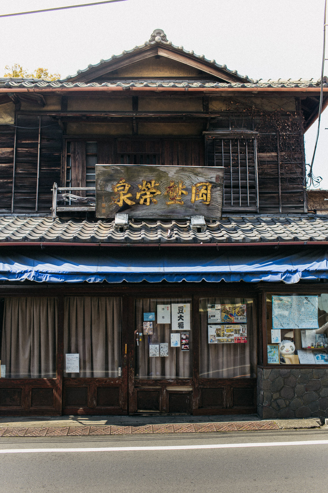 Yanaka storefronts - The cat, you and us