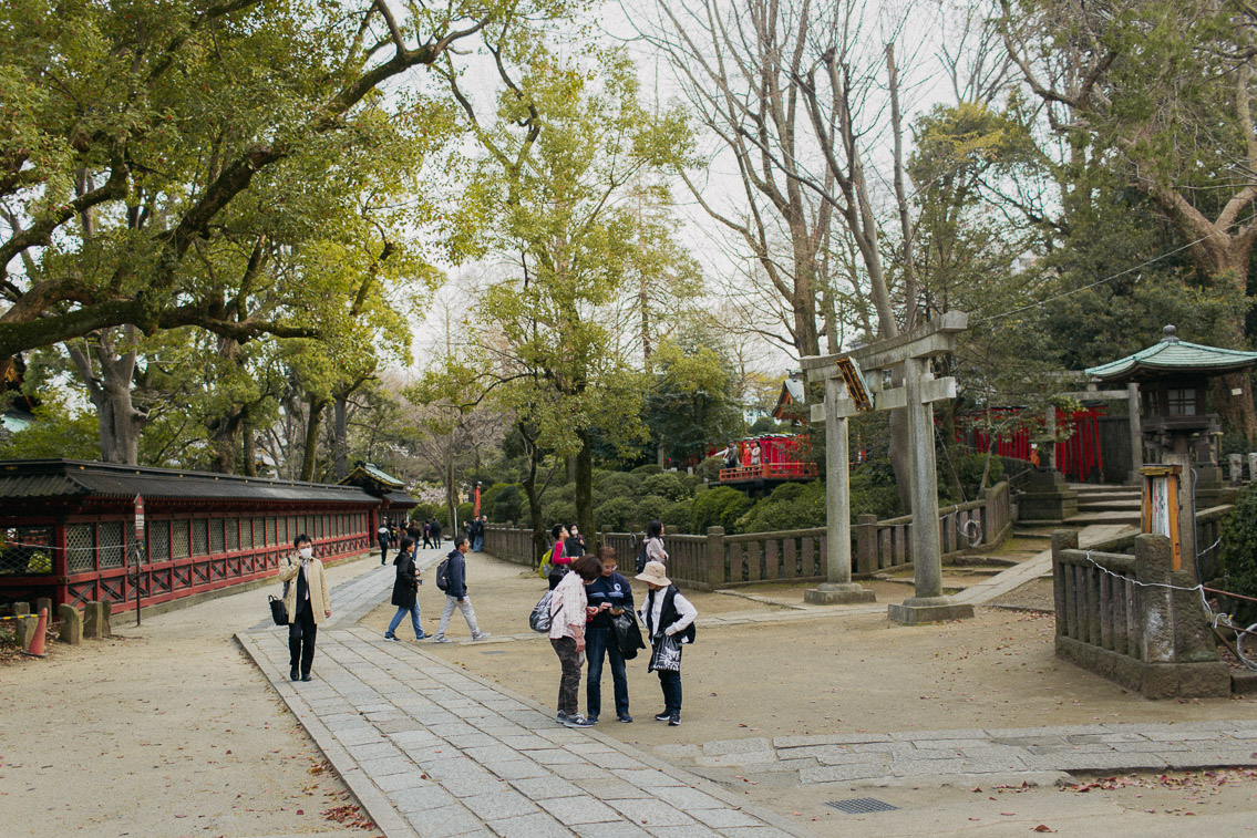 Nezu shrine - The cat, you and us