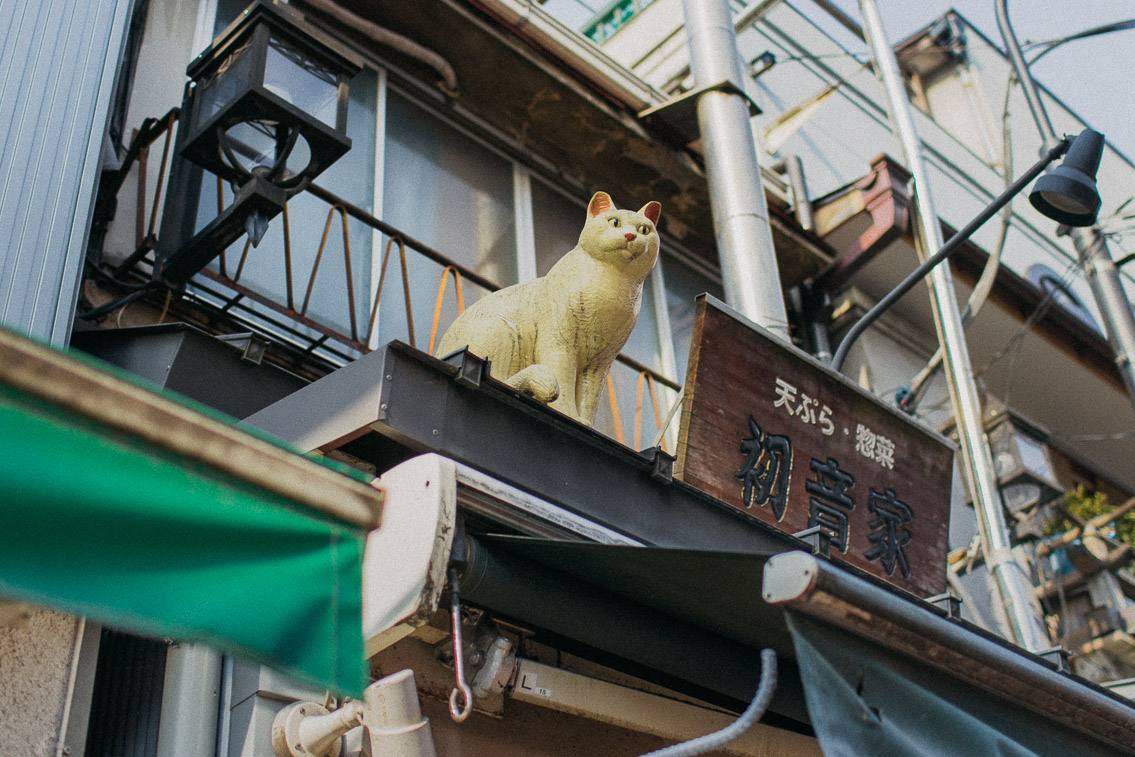 Yanaka Ginza - The cat, you and us