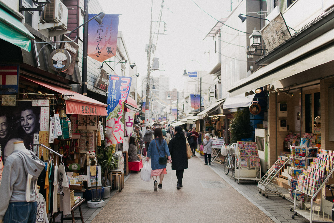 Yanaka Ginza - The cat, you and us