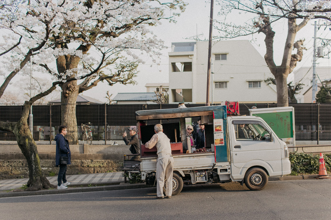 Yanaka - The cat, you and us