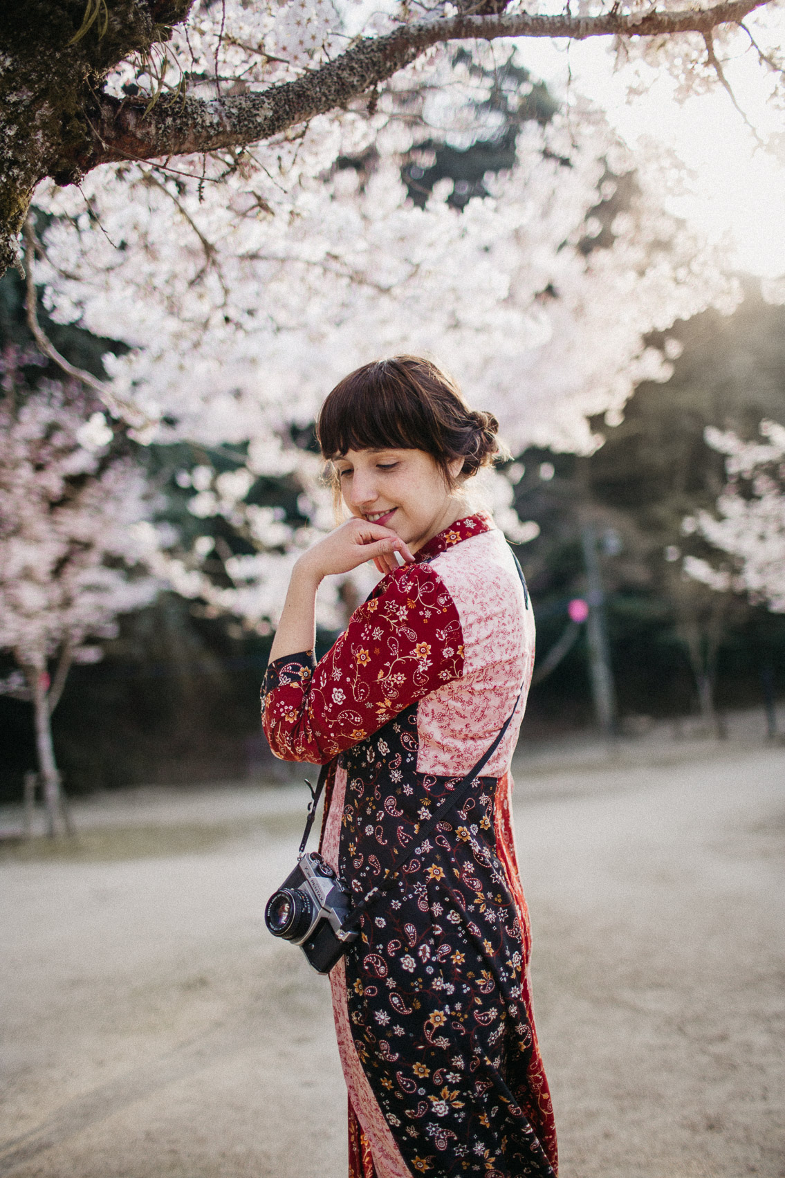 Sakura in Momijidani Park at Miyajima - The cat, you and us