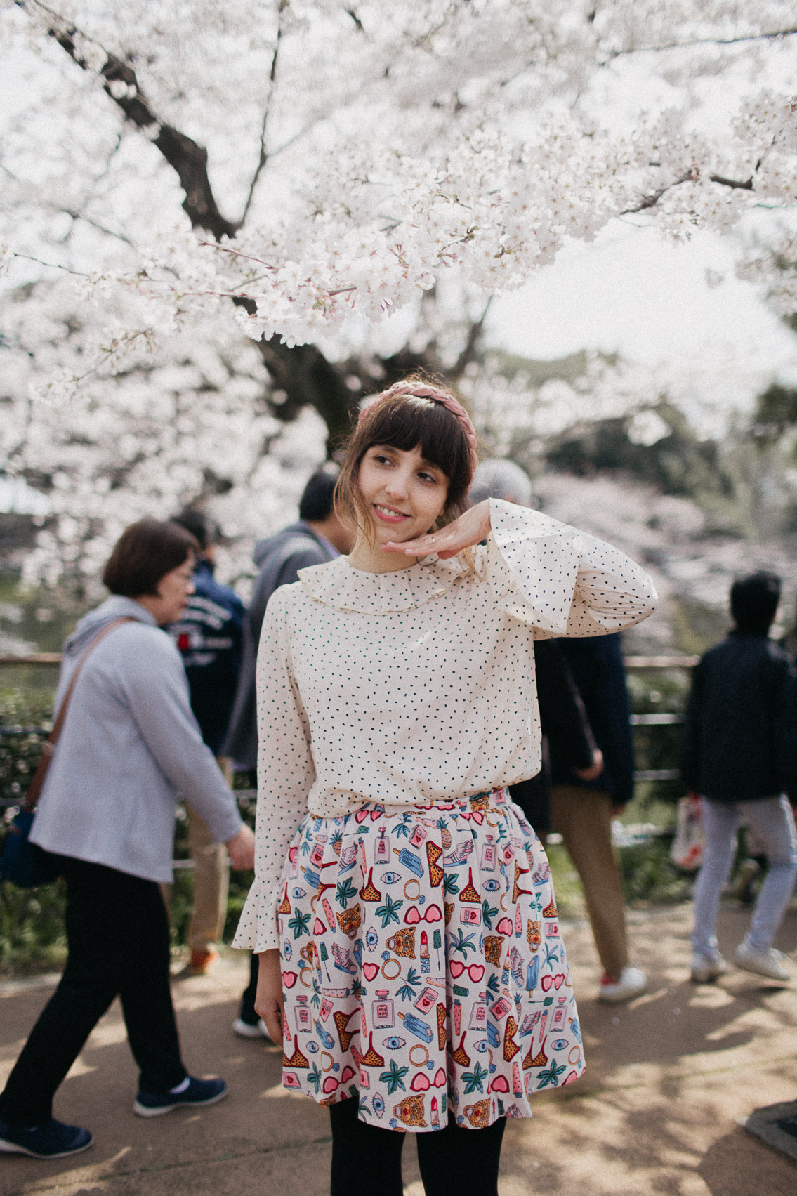 Chidorigafuchi park sakura season - The cat, you and us