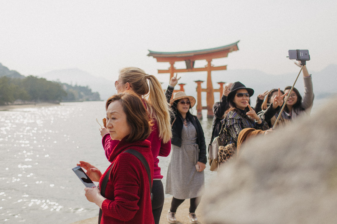 Sunset Miyajima floating torii - The cat, you and us