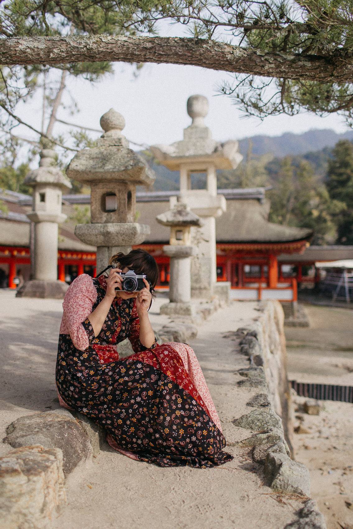 Itsukushima shrine Miyajima - The cat, you and us