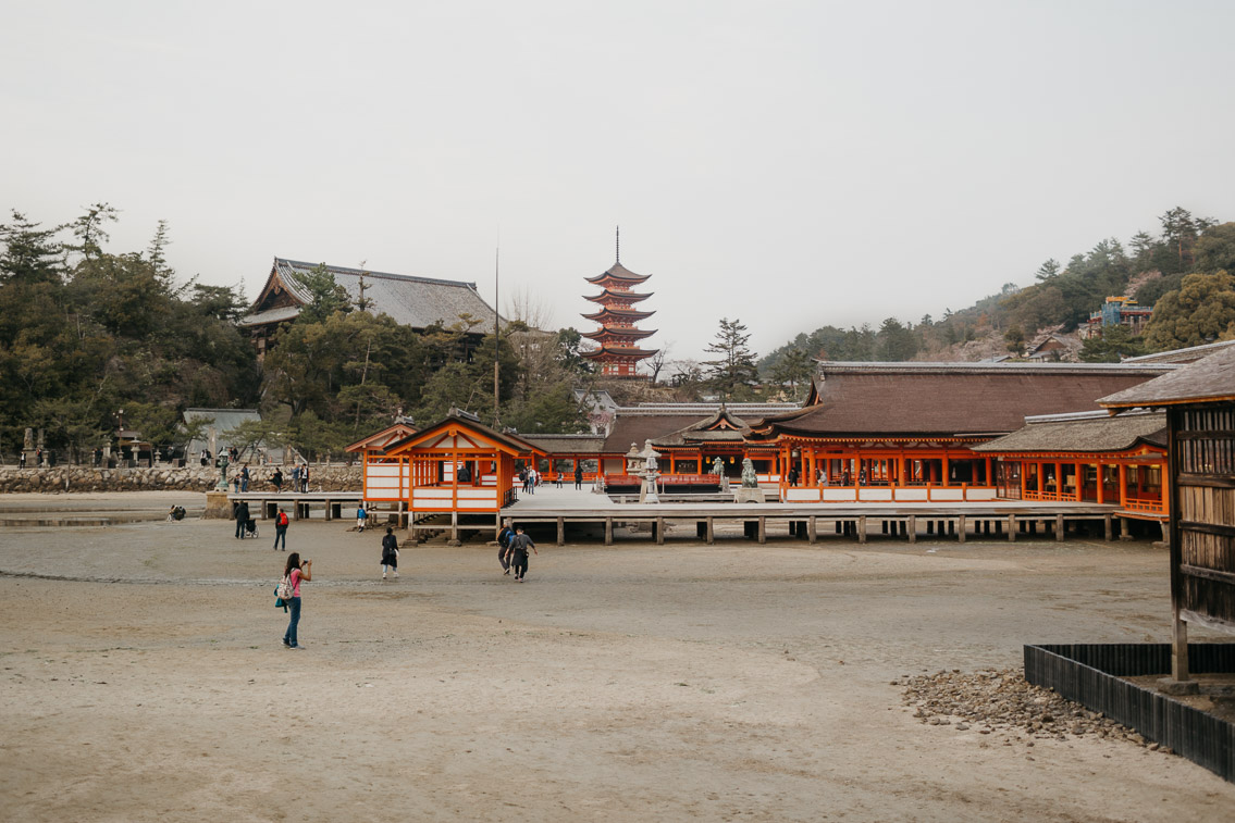 Itsukushima shrine Miyajima - The cat, you and us