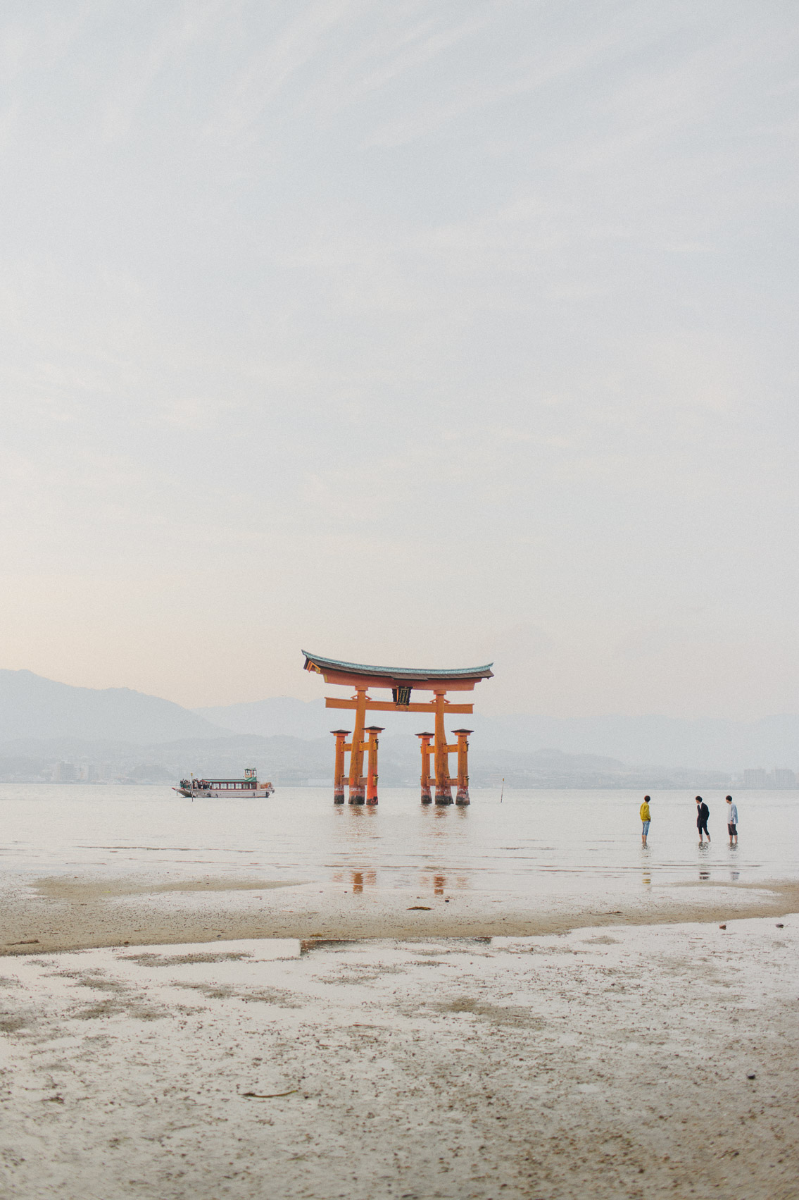 Sunset Miyajima floating torii - The cat, you and us