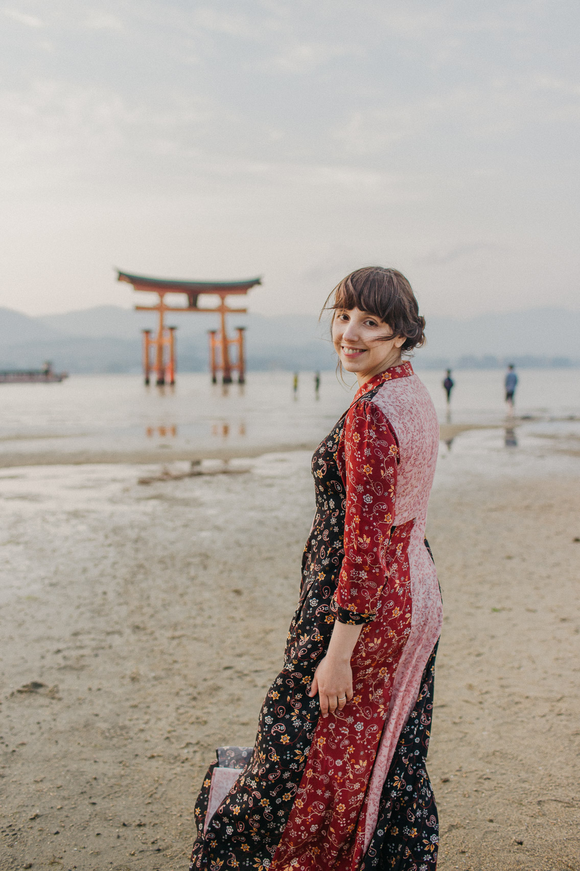 Sunset Miyajima floating torii - The cat, you and us