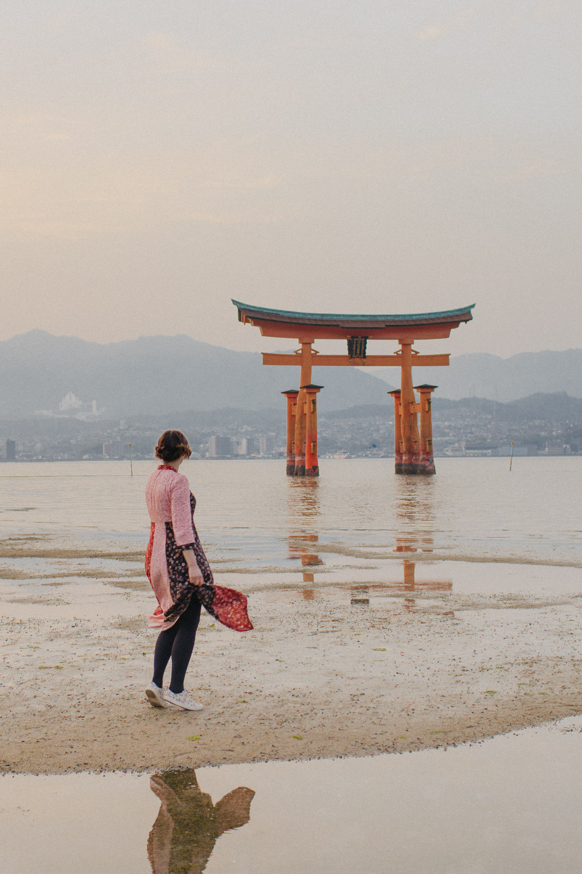 Sunset Miyajima floating torii - The cat, you and us