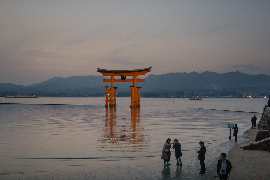 Miyajima at night - The cat, you and us