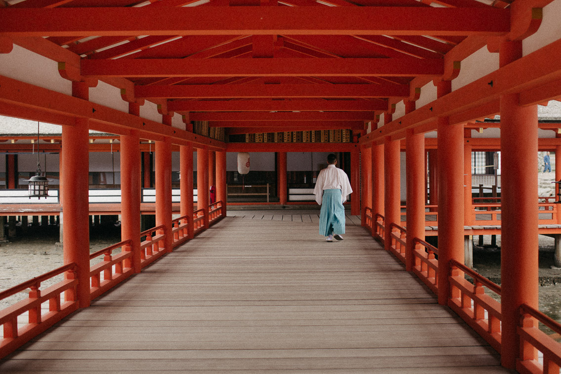 Itsukushima shrine Miyajima - The cat, you and us