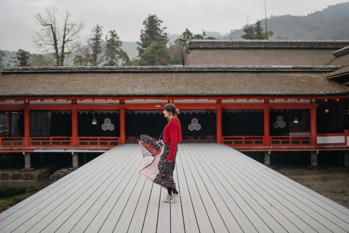 Itsukushima shrine Miyajima - The cat, you and us