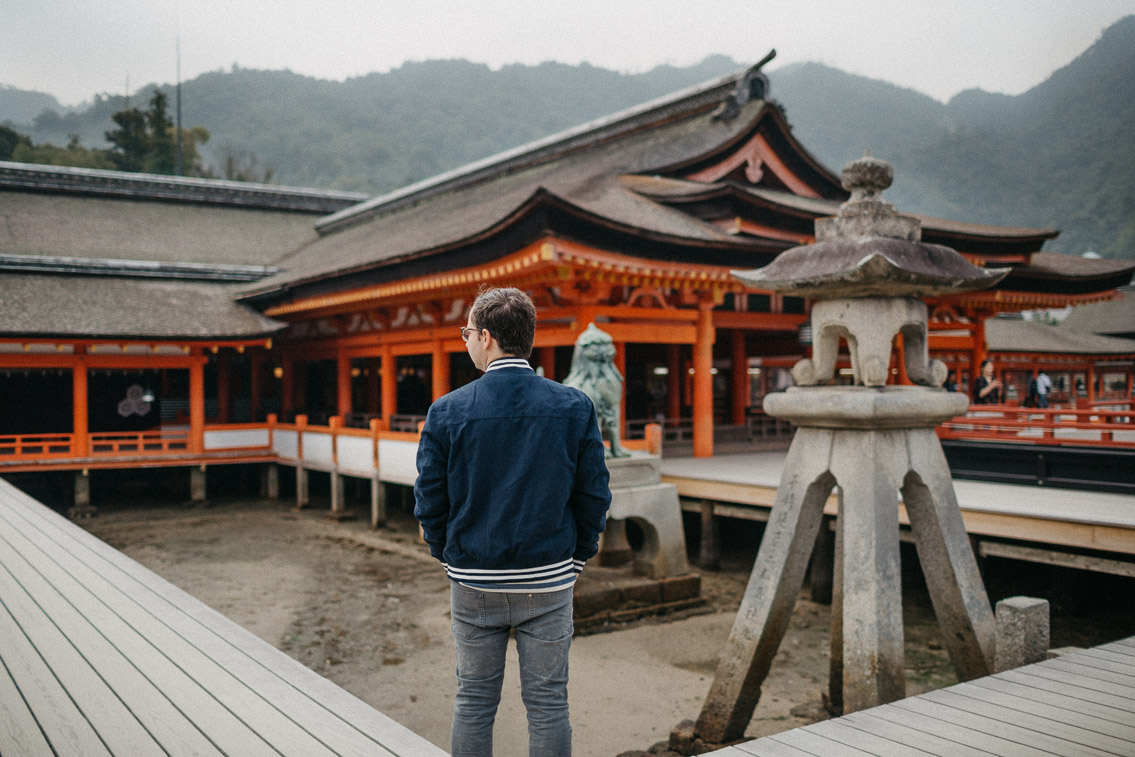 Itsukushima shrine Miyajima - The cat, you and us