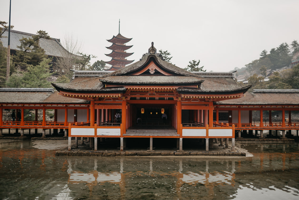 Itsukushima shrine Miyajima - The cat, you and us