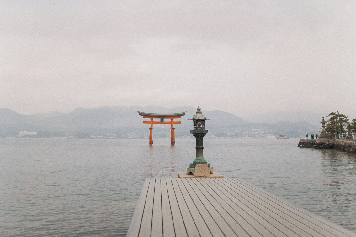 Itsukushima shrine Miyajima - The cat, you and us