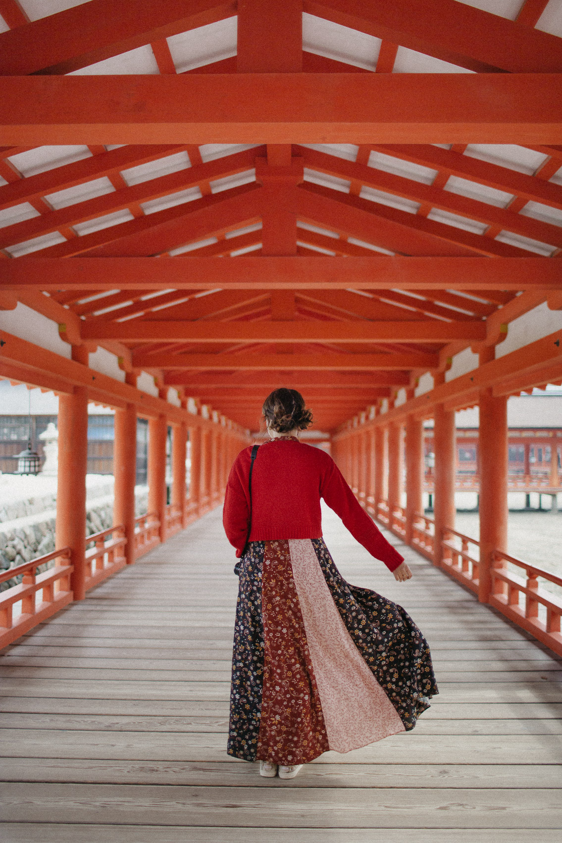 Itsukushima shrine Miyajima - The cat, you and us