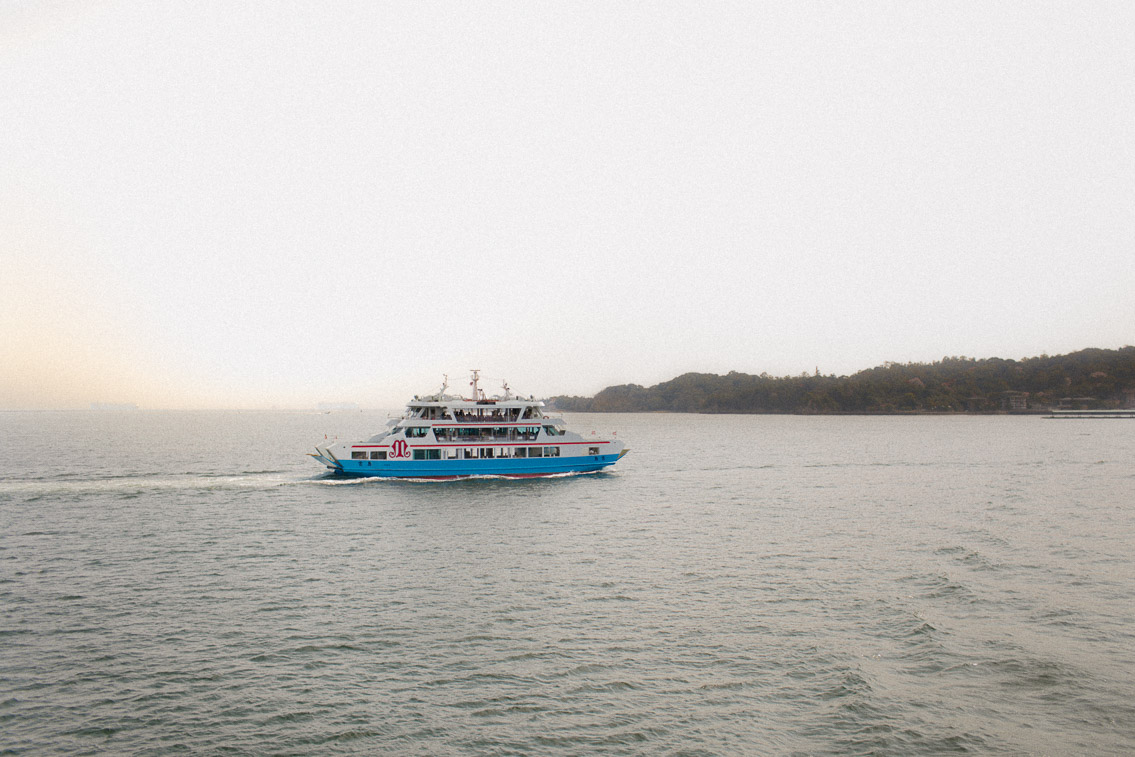 Ferry to Miyajima - The cat, you and us