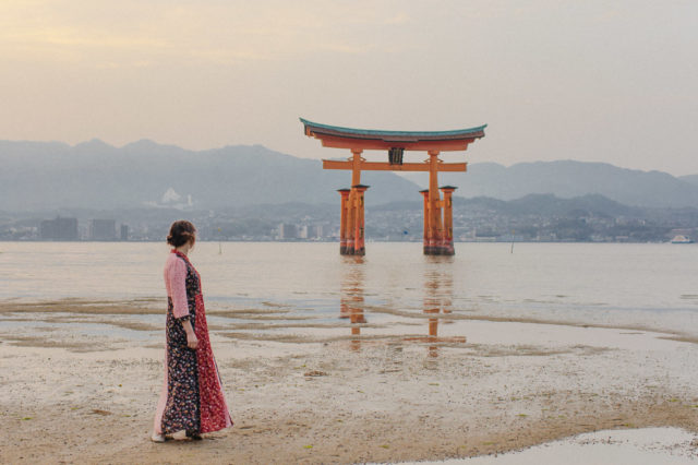 Sunset Miyajima floating torii - The cat, you and us