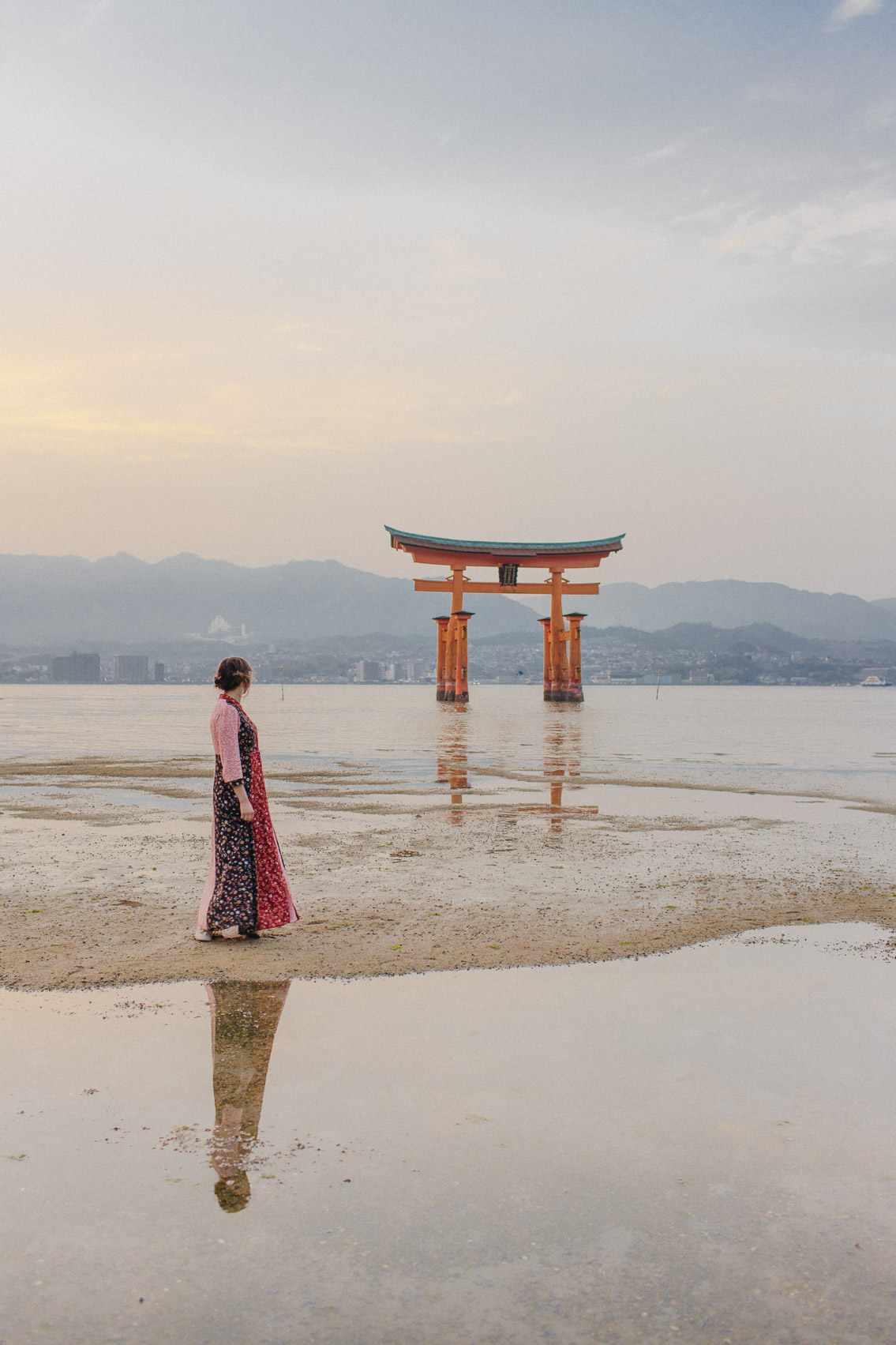 Sunset Miyajima floating torii - The cat, you and us