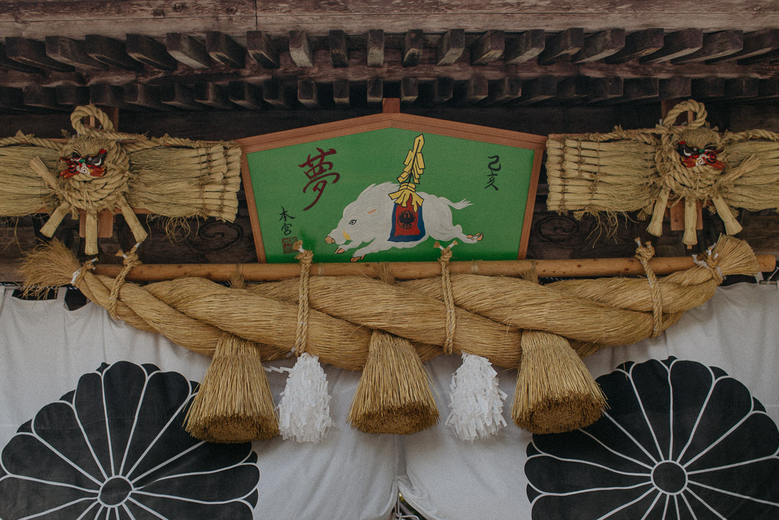 Hongu Taisha shrine - The cat, you and us