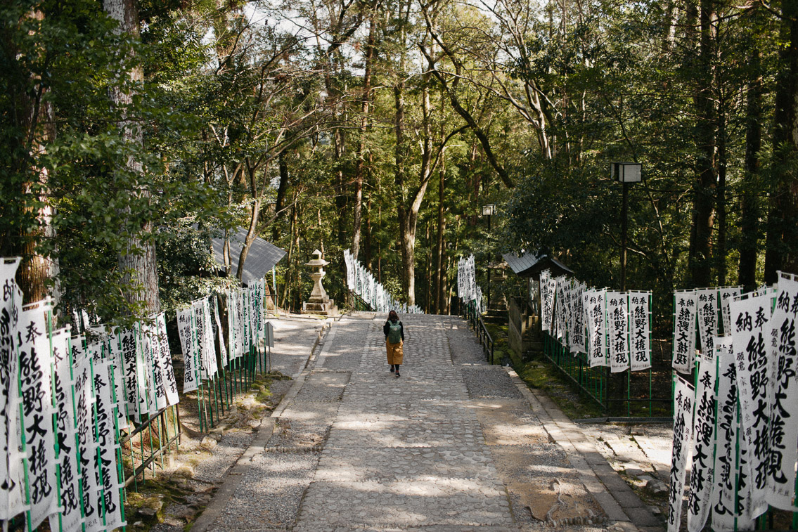 Hongu Taisha shrine - The cat, you and us