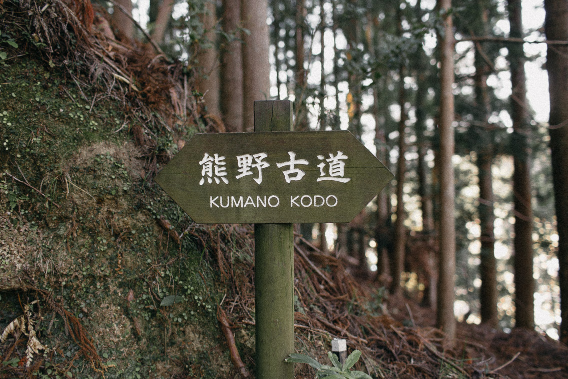 Kumano Kodo Nakahechi route Dainichi goe trail - The cat, you and us