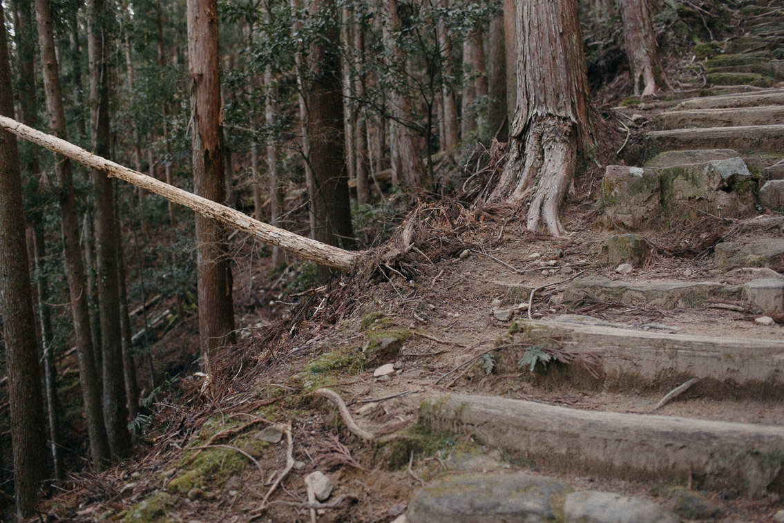 Kumano Kodo Nakahechi route Dainichi goe trail - The cat, you and us