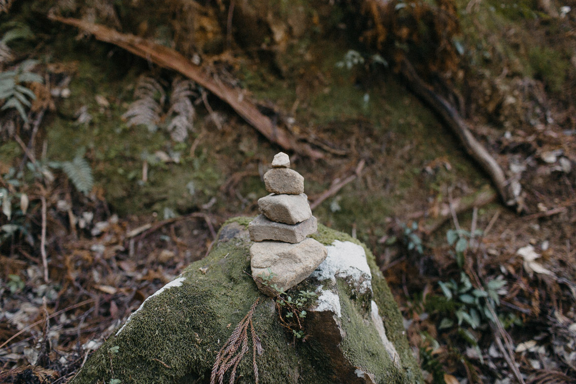 Kumano Kodo Nakahechi route Dainichi goe trail - The cat, you and us