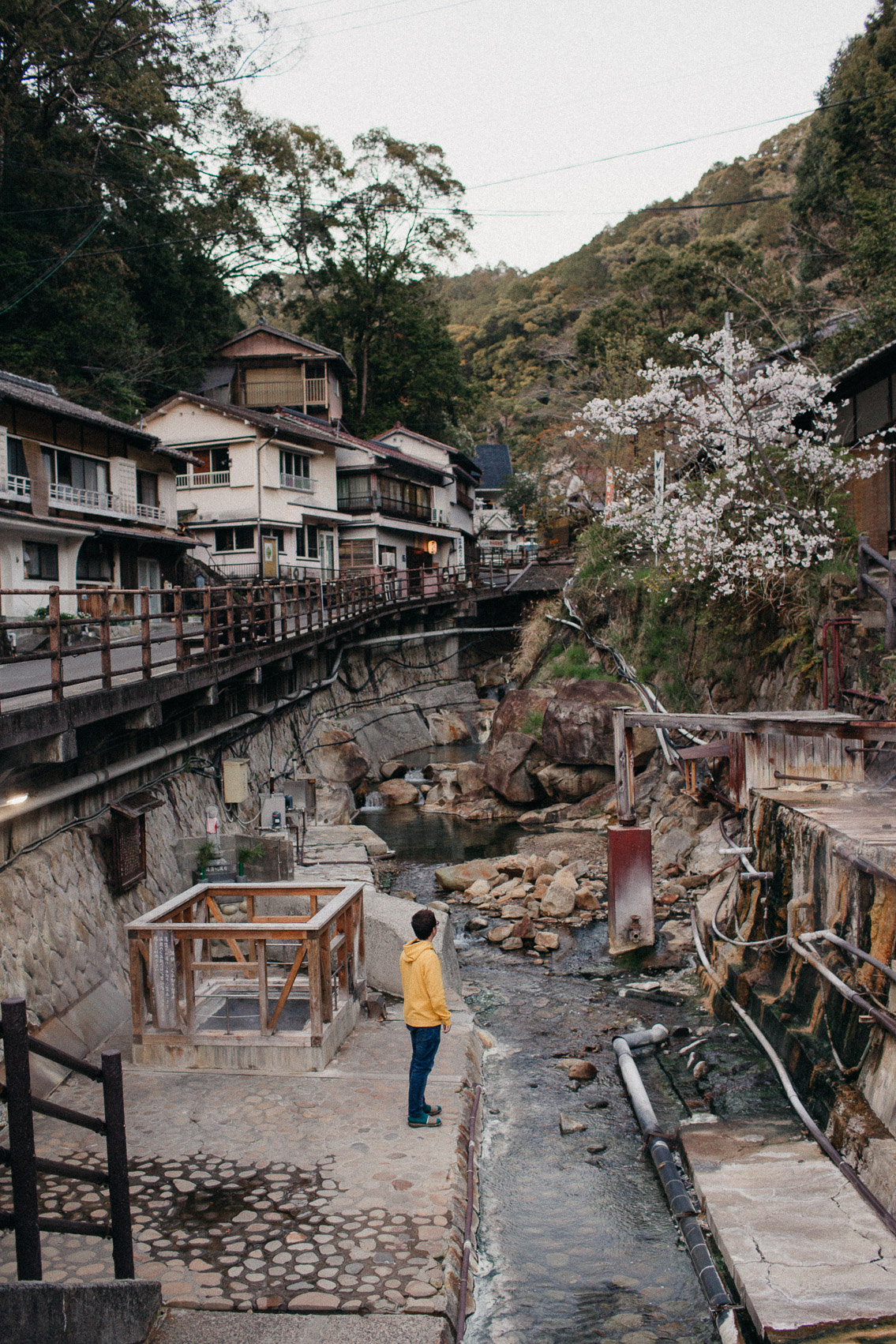 Yunomine Onsen Wakayama - The cat, you and us