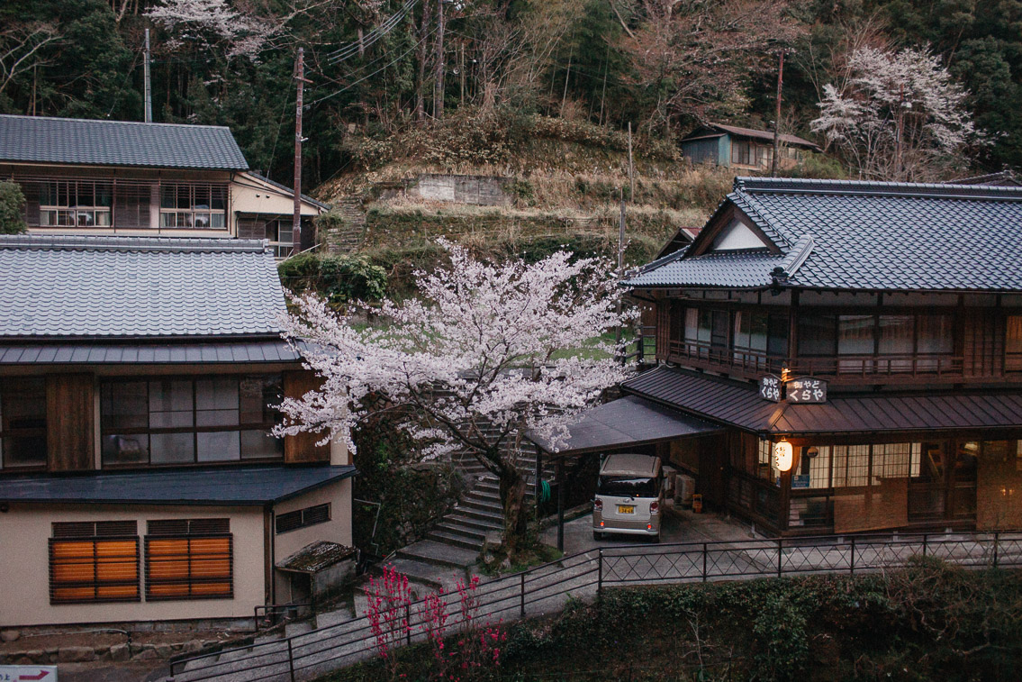 Yunomine Onsen Wakayama - The cat, you and us