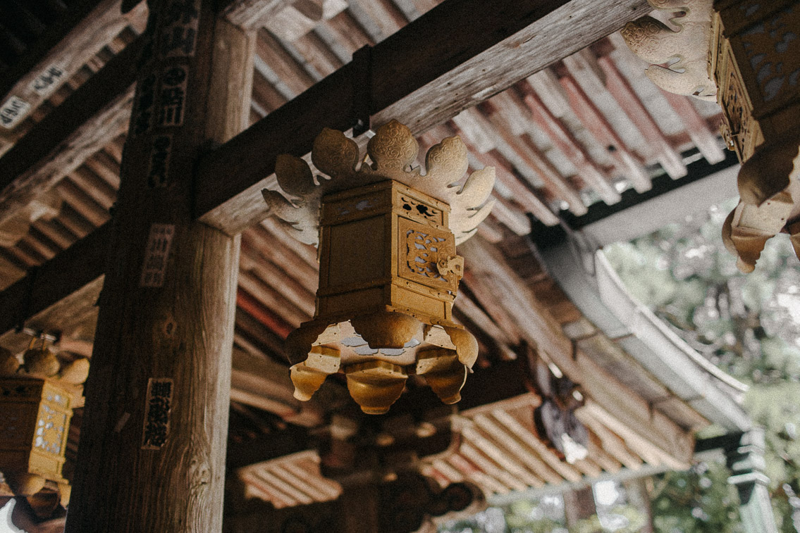 Seiganto-ji temple Nachi falls - The cat, you and us