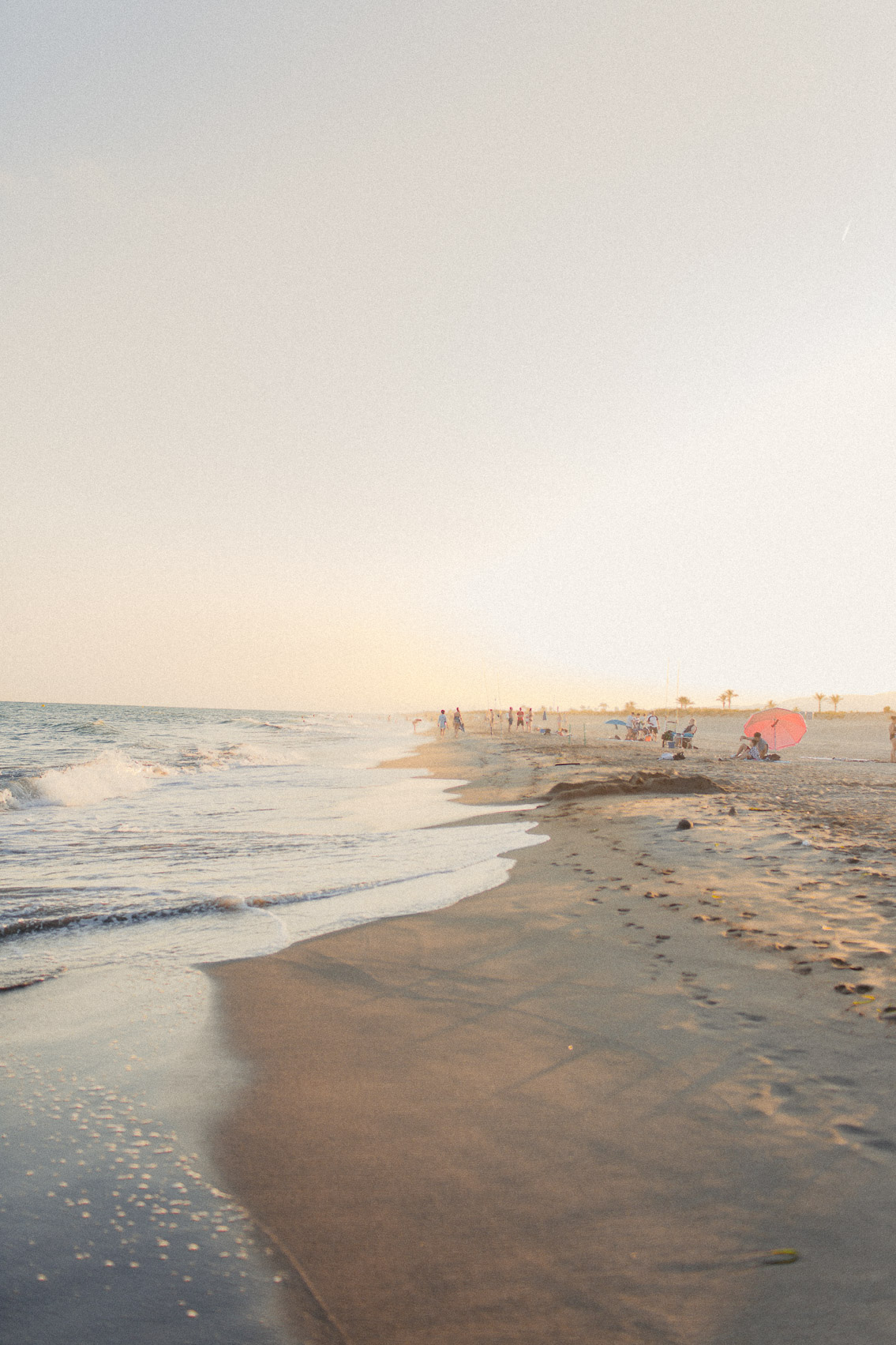 Prat del Llobregat beach - The cat, you and us