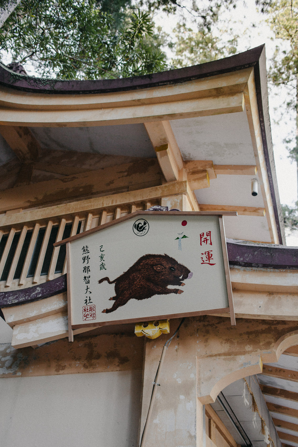 Nachi falls - The cat, you and us