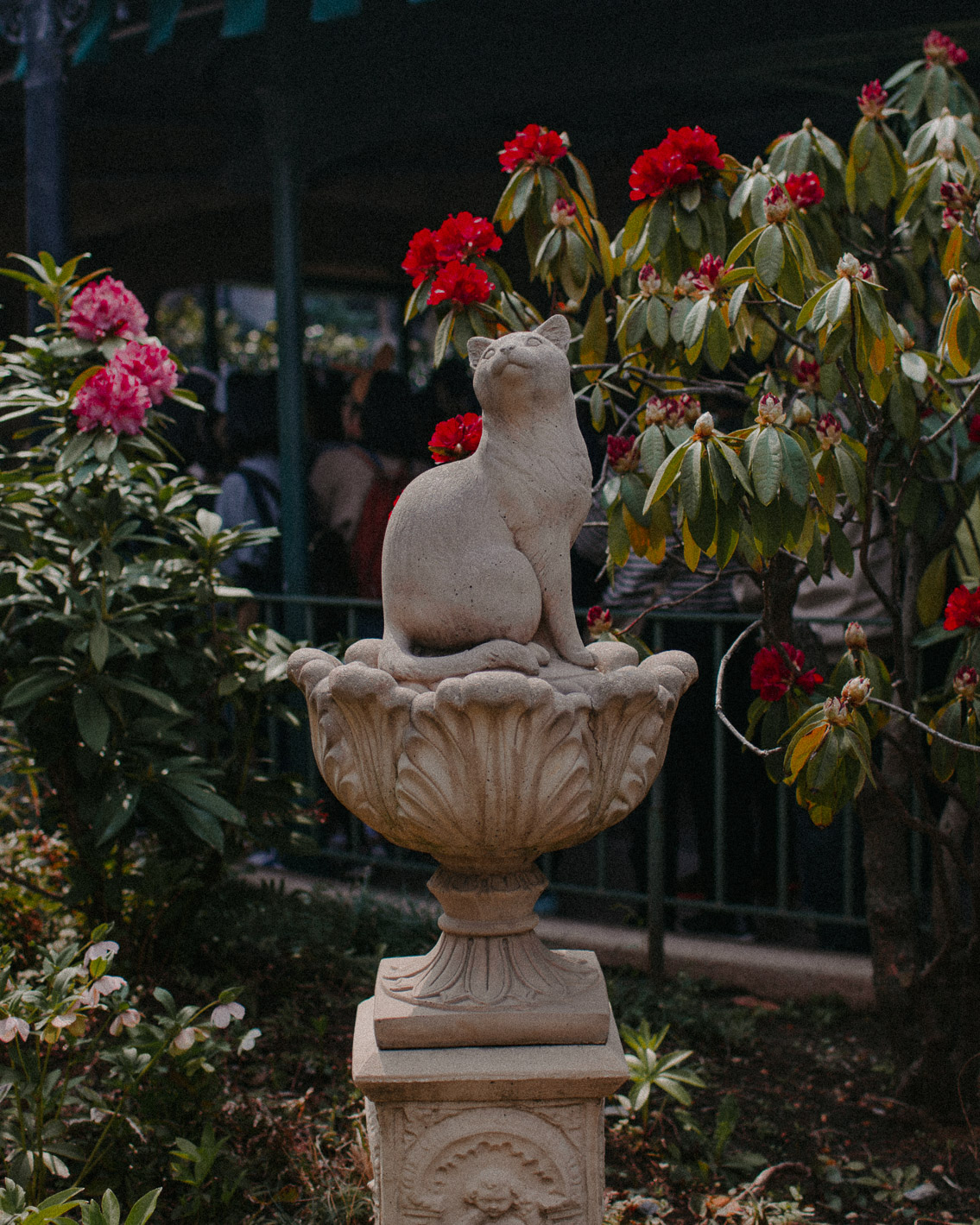 Haunted Mansion Tokyo Disneyland - The cat, you and us