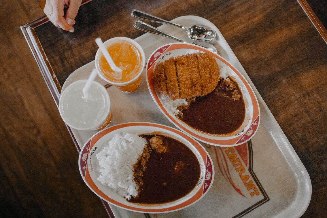 Tokyo Disneyland Katsu curry don - The cat, you and us