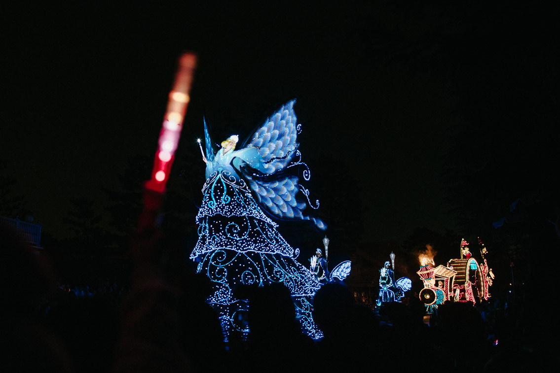 Tokyo Disneyland Electrical parade - The cat, you and us