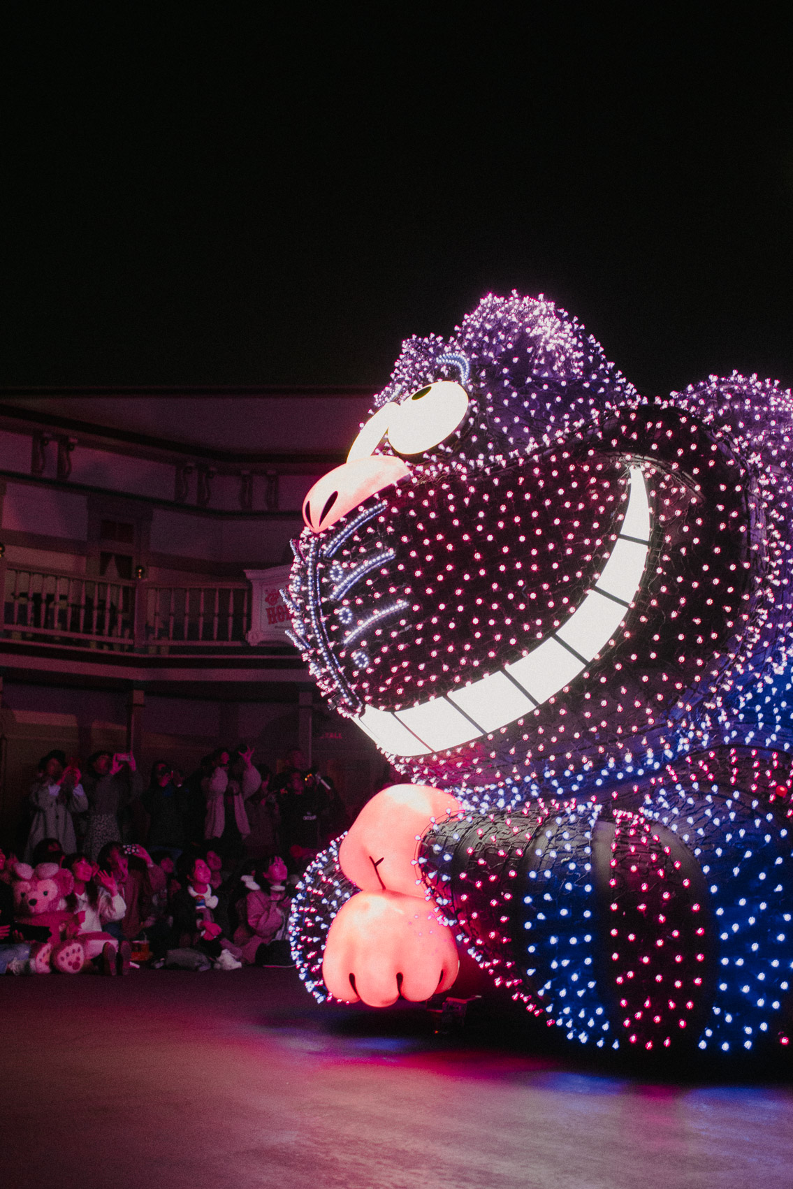 Tokyo Disneyland Electrical parade - The cat, you and us