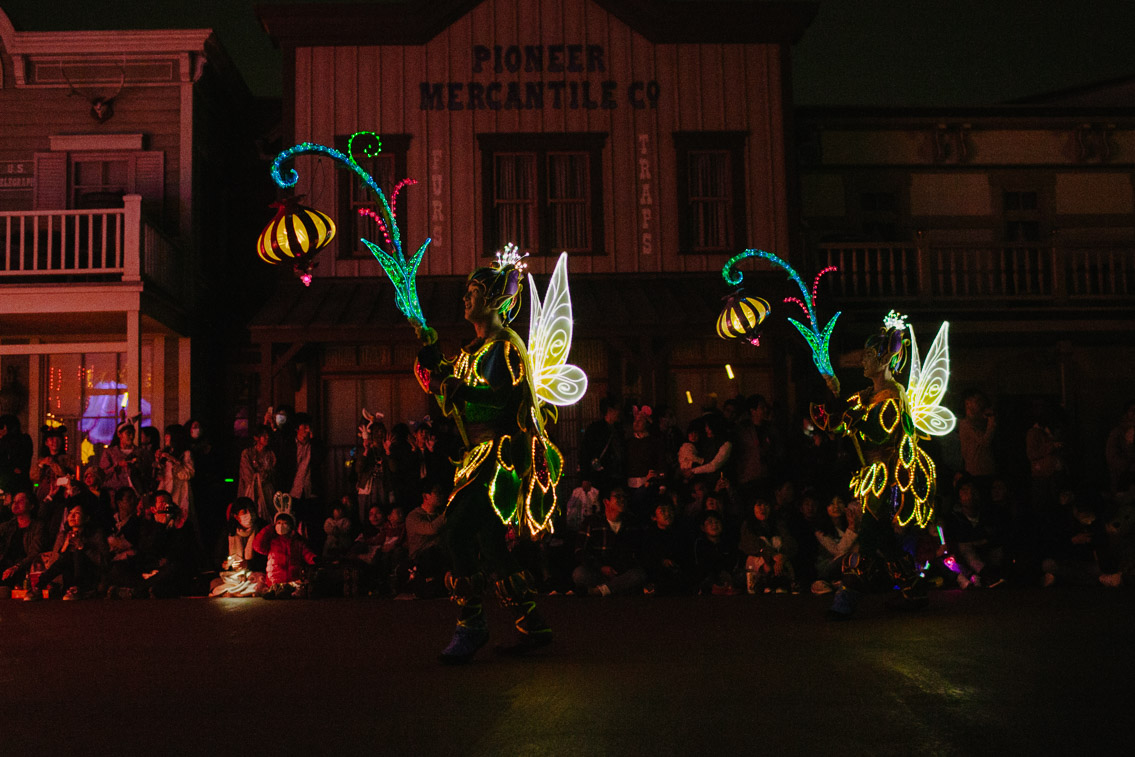 Tokyo Disneyland Electrical parade - The cat, you and us