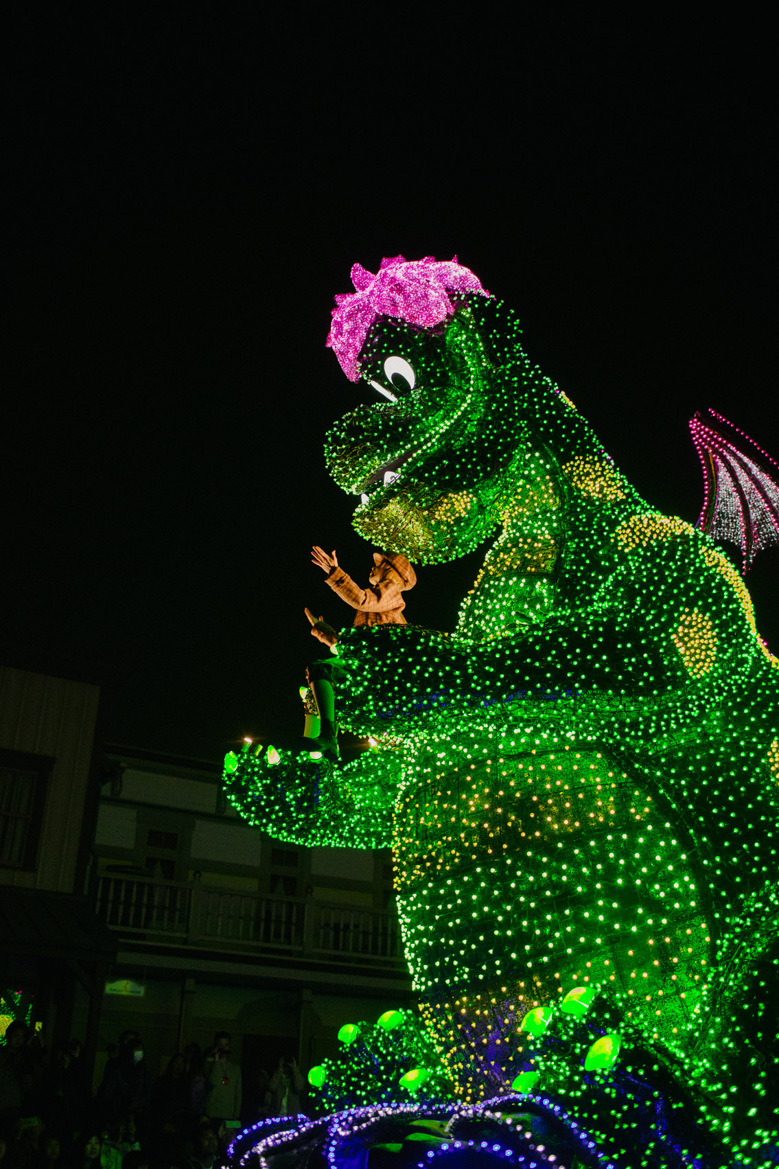 Tokyo Disneyland Electrical parade - The cat, you and us