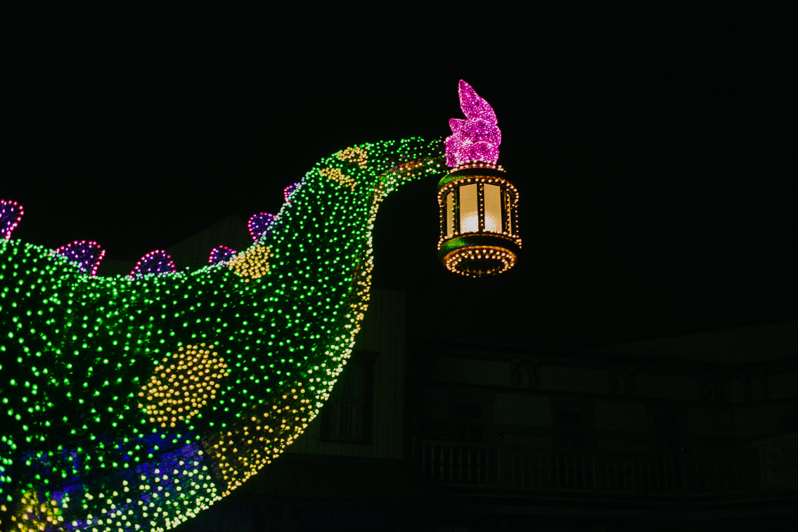 Tokyo Disneyland Electrical parade - The cat, you and us