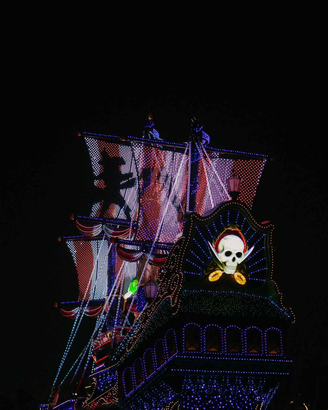 Tokyo Disneyland Electrical parade - The cat, you and us