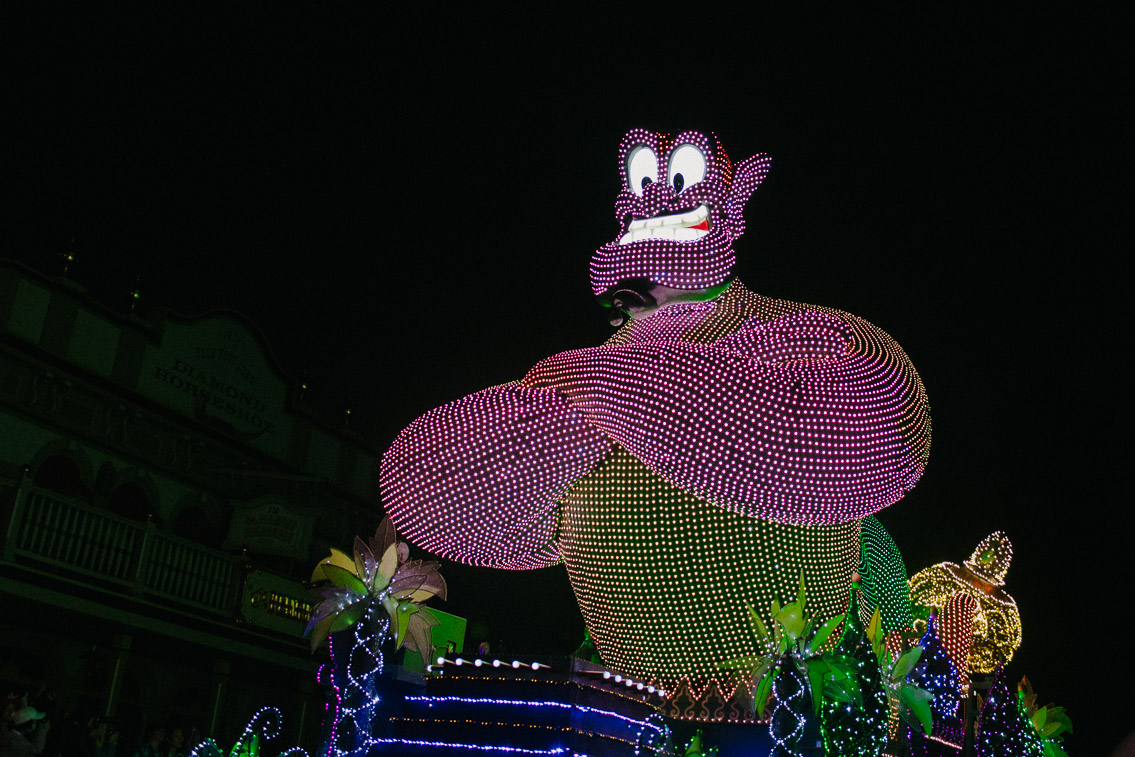 Tokyo Disneyland Electrical parade - The cat, you and us