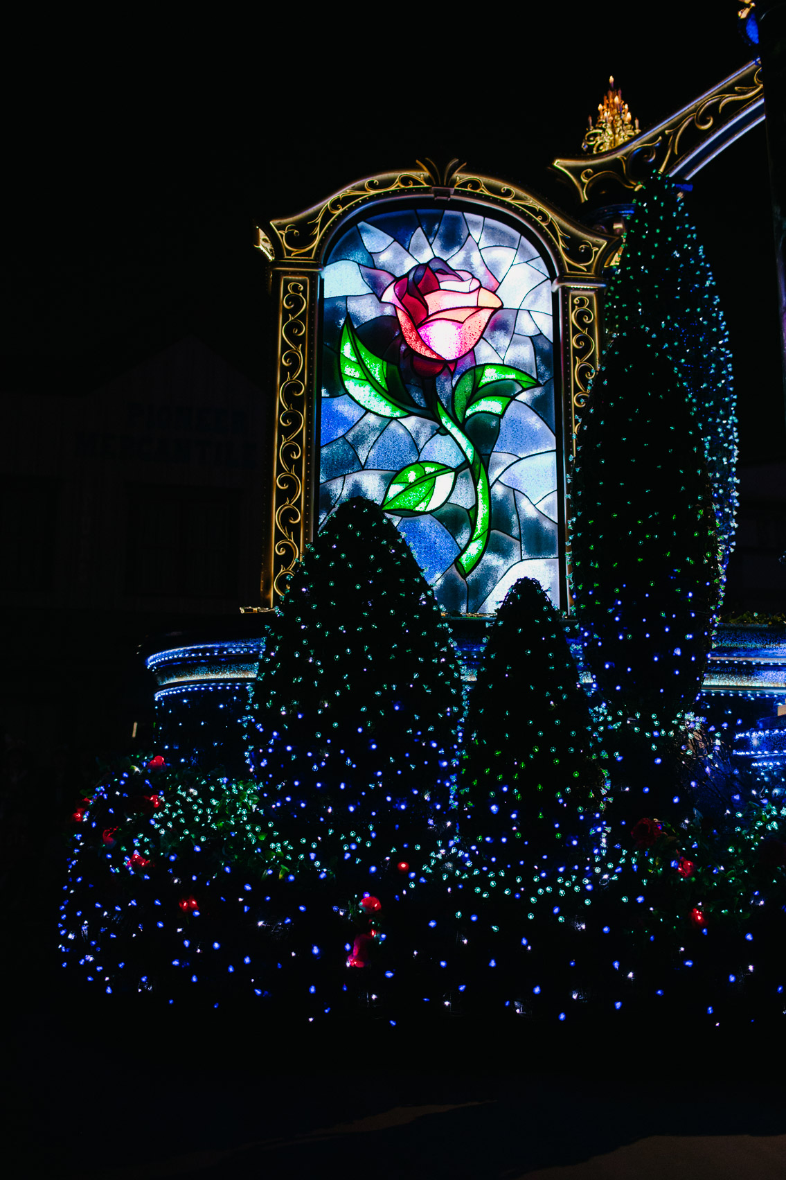 Tokyo Disneyland Electrical parade - The cat, you and us