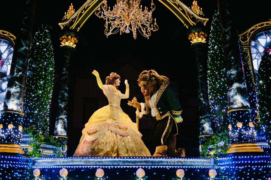 Tokyo Disneyland Electrical parade - The cat, you and us