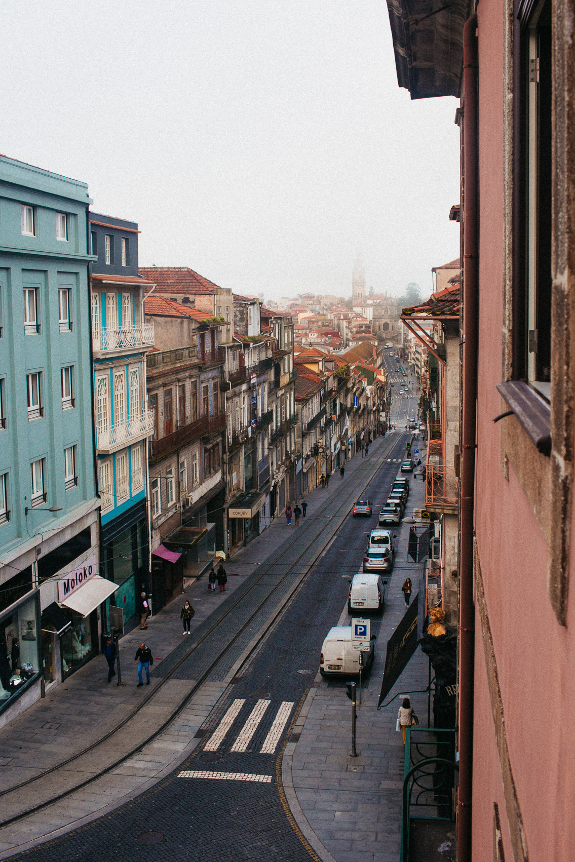 31 de Janeiro Porto - The cat, you and us